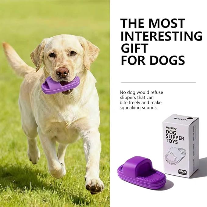 MECOOL Squeaky Slipper Dog Toy - Chew Toys for Aggressive Chewers, Durable Rubber Chew Toy for Dental Cleaning & Boredom Relief, for Small Medium Dogs, Purple