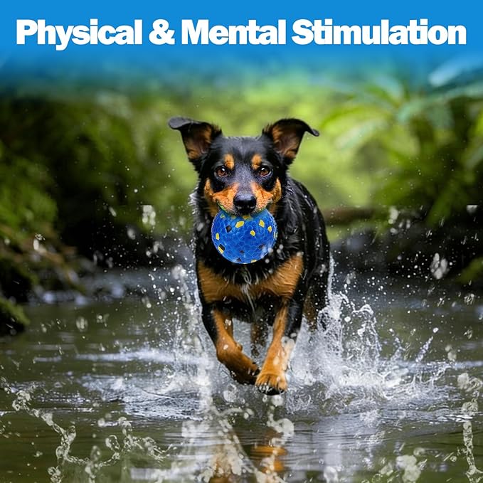 Mity rain 4PCS Floating Dog Toys –E-TPU Water Pool Fetching Toy for Small Medium Large Pet, Ball Shape Indestructible Interactive Dog Chew Toys for Summer Outdoor Training Fun