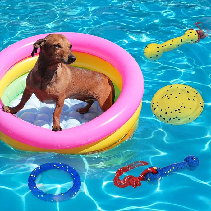 BABORUI Floating Dog Pool Toy – Durable E-TPU Dog Water Toy for Fetch & Chew, Bright Floating Dogs Toys for Pool, Beach & Outdoor Play – Dogs Beach Essentials (Yellow & Blue Stick)