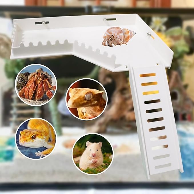 No-Drill Climbing Platform with Ramp, Hermit Crab Climbing Wall & Hideout, Multi-Level Platform with Ladder, No-Tools Mounting for Geckos, Small Lizards, Hamsters