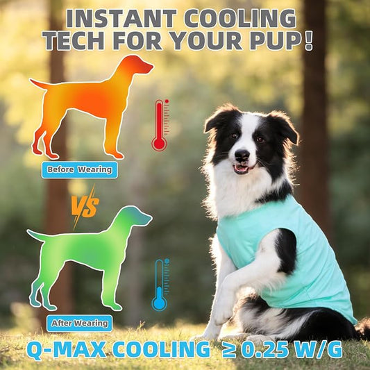 KOOLTAIL Cooling Sunblock Dog Clothes for Large Dogs, 2 Pack UPF50+ UV & Insect Protection Quick Dry Dog T Shirts for Outdoor, Anti-Hair Loss Breathable Sleeveless Pet Vest Tank Tops, Blue&Green, XL