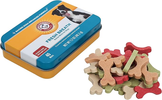Arm & Hammer for Pets Dog Dental Breath Mints with Baking Soda, Chicken Flavor Dental Treats to Help Freshen Dog Breath and Support Oral Care, Fresh Mint Scent, 1.7 Oz