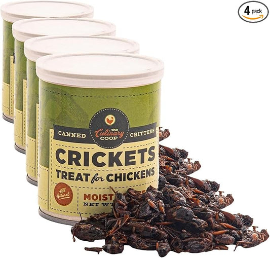Fluker's Culinary Coop Canned Crickets Chicken Treat, All Natural and Packed with Protein, 2.75 oz (Pack of 4)