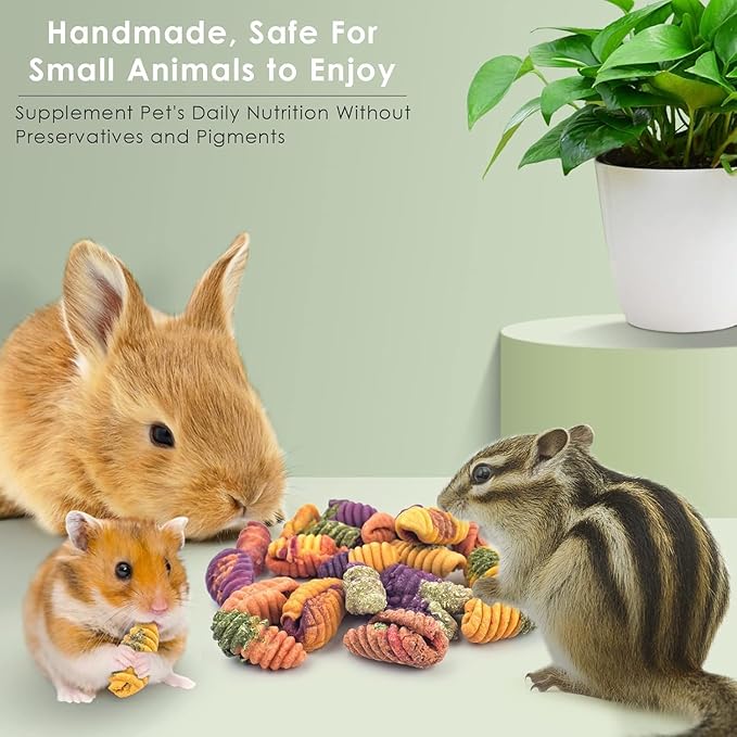 ERKOON Chinchilla Treats, Chew Toys for Teeth for Rabbit Guinea Pig Gerbil Rat Dwarf Hamster(Small Size-2 Pack)