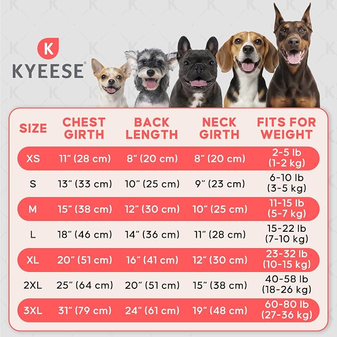 KYEESE UV Protection Dog Shirt, UPF 50+ Cooling Summer Jumpsuit for Small Dogs, Breathable Reflective Shedding Control Dog Sun Shirts, Quick-Dry Dogs Onesie Pet Clothes, Blue, L