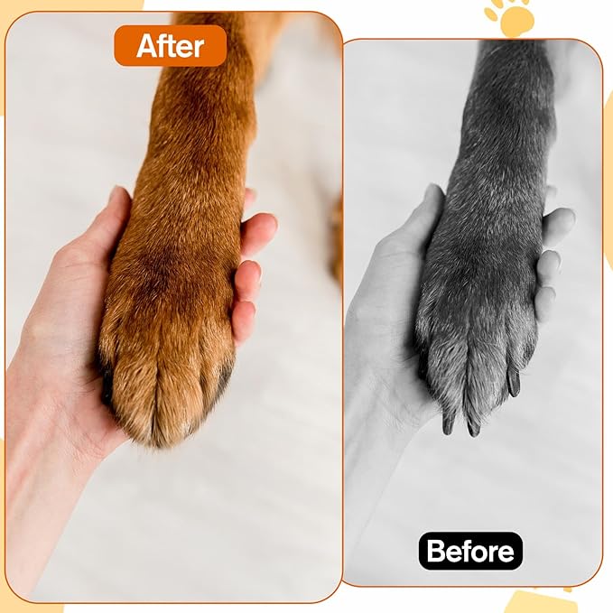 Dog Nail File Dog Scratch Pad Board Safe Easy Cat Nail Tool Smooth Healthy Stress Free Pet File with 6 Pcs Replaceable Sandpaper Filing Disc