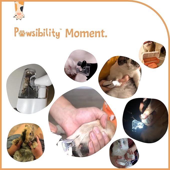 Pawsibility - Reinvented Pet Nail Clippers for Your Pal - USB Rechargeable LED Light for Bloodline | Razor Sharp and Durable Blade | Vets Recommended Trimming Tool for Dogs and Cats - Pink