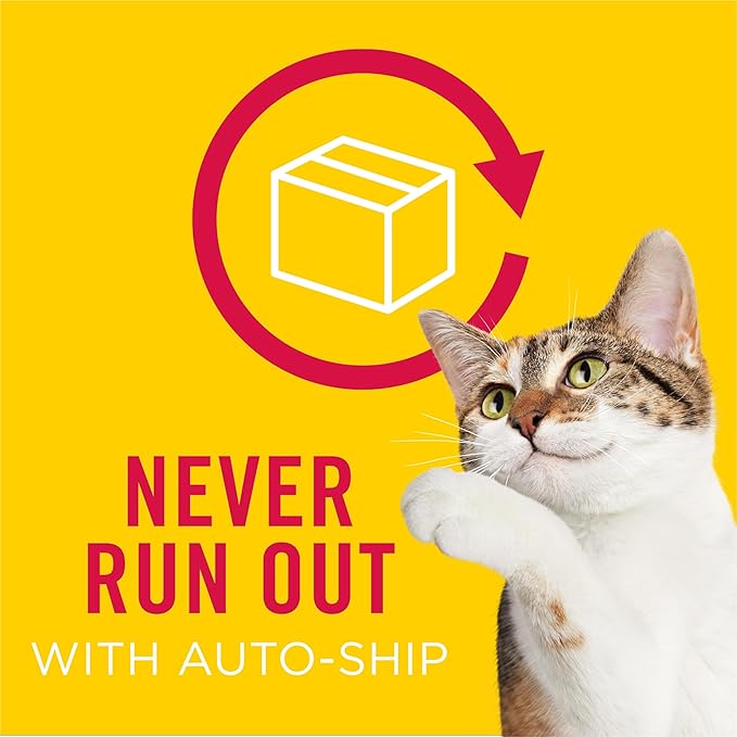 Friskies Purina Shreds with Chicken in Wet Cat Food Gravy - 5.5 oz. Cans (Pack of 48)