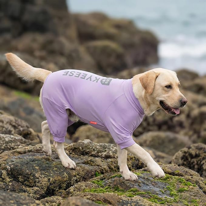 KYEESE UV Protection Dog Shirt, UPF 50+ Cooling Summer Jumpsuit for Large Dogs, Breathable Reflective Shedding Control Dog Sun Shirts, Quick-Dry Dogs Onesie Pet Clothes, Purple, 3XL