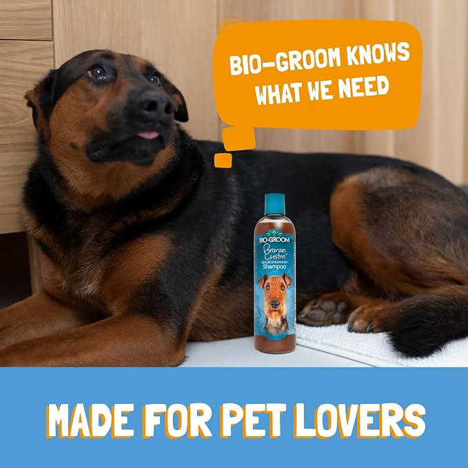 Bio-Groom Bronze Lustre Dog Shampoo – Color Enhancing Pet Shampoo, Dog Bathing Supplies, Puppy Wash, Dog Grooming Supplies, Cruelty-Free, Made in USA, Coat Brightener Shampoo – 12 fl oz 1-Pack