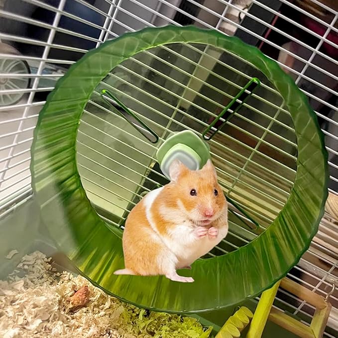 Birds Running Wheel Exercise Toys, Parrot Hamster Exercise Wheel Toy, Quiet Running Wheel for Parrots Bird Parakeets Hamster Guinea Pig Budgie Lovebird and More (Green)