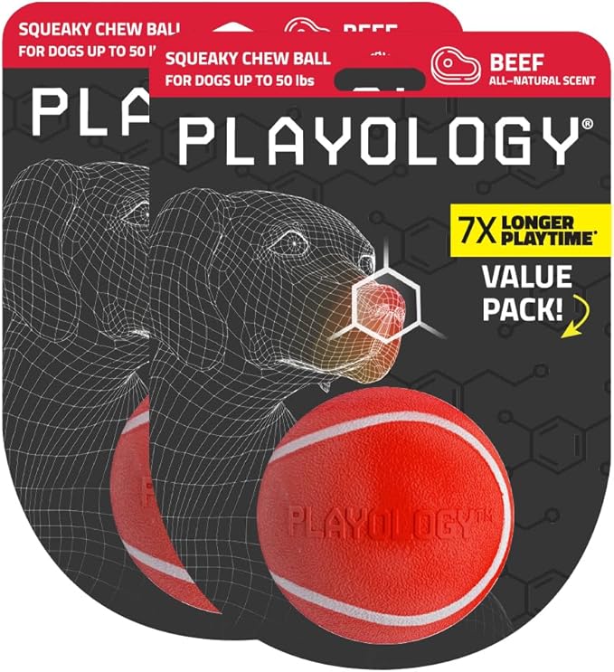 Playology Dog Toys | Squeaky Chew Ball for Dogs, Value 2-Pack | Beef Scented Medium Dog Balls | Bouncy Floating Chew Toys for Fetch