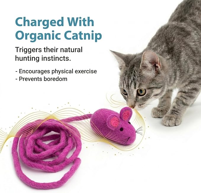 Glaciart One Felt Mouse Cat Toy – Soft Fuzzy Enrichment 100% Natural Wool - Interactive Catnip Play Cat Toy Set - Safe for Pets, Non-AZO Colored Dyes - 100” Long