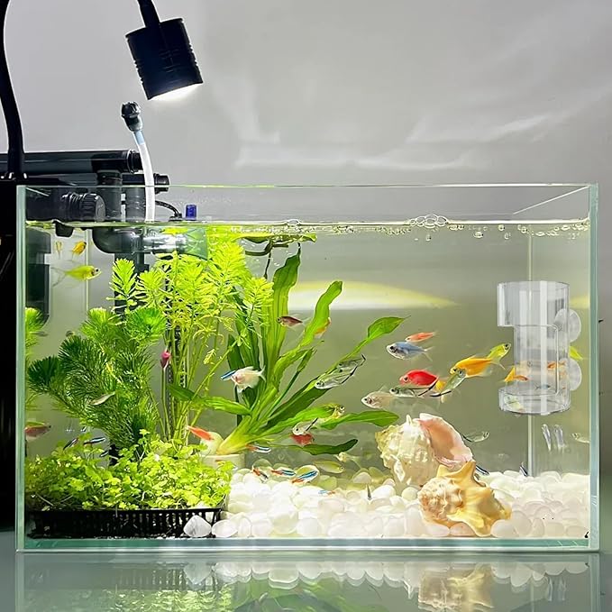 No Mess Aquarium Feeder, Acrylic Clear Fish Tank Feeder with Suction Cup, Preventing Food Scattering Feeding Tray Hollow Floating Sinking Shrimp Food Holders (Round,1)