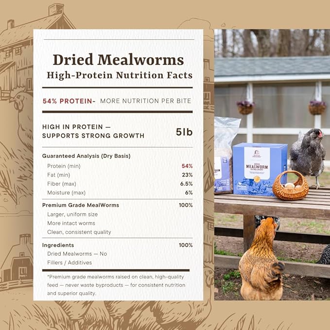 Chicken Feed for Backyard Poultry High Calcium Insect Protein Natural Supplement Treat, Meal Worms, 5lb