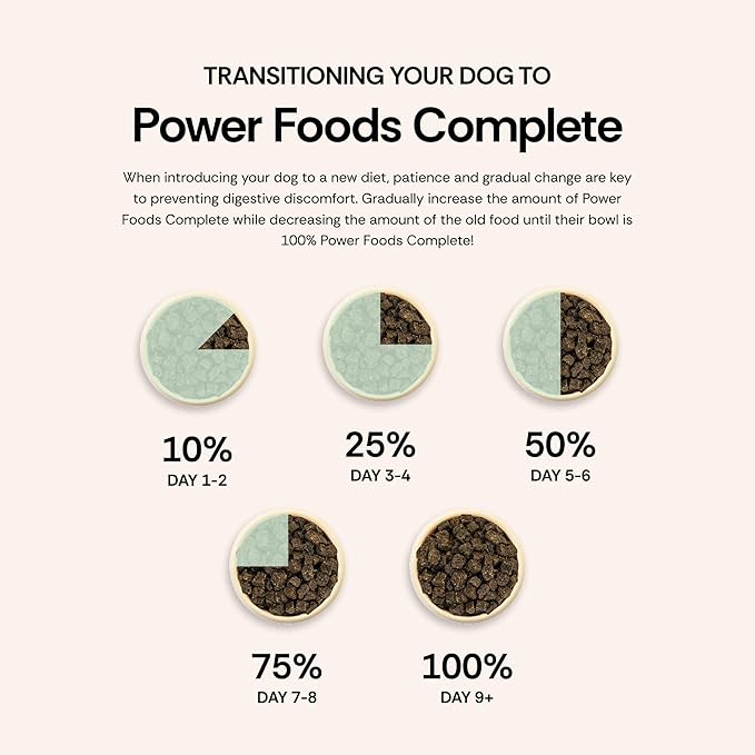 Chuck Norris Power Foods Complete Air-Dried Dog Food with High Protein, Superfoods, and Glucosamine (Beef, 24oz)