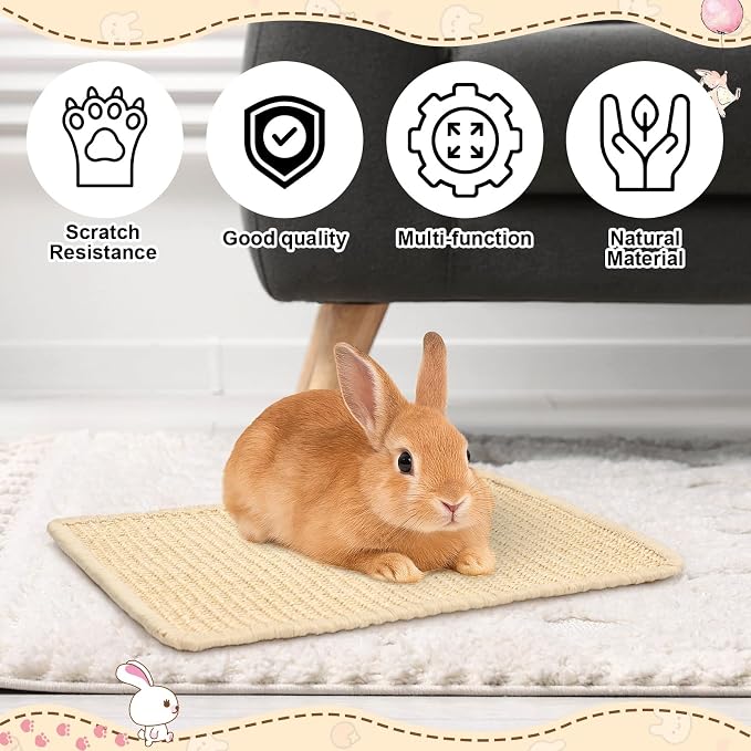 PETKNOWS 2PCS Rabbit Scratch Mat, Sisal Rabbit Scratching Pad Natural Bunny Scratching Pad Claws and Teeth Care Rabbit Mats (Beige, 15X11.8 inche, 2)