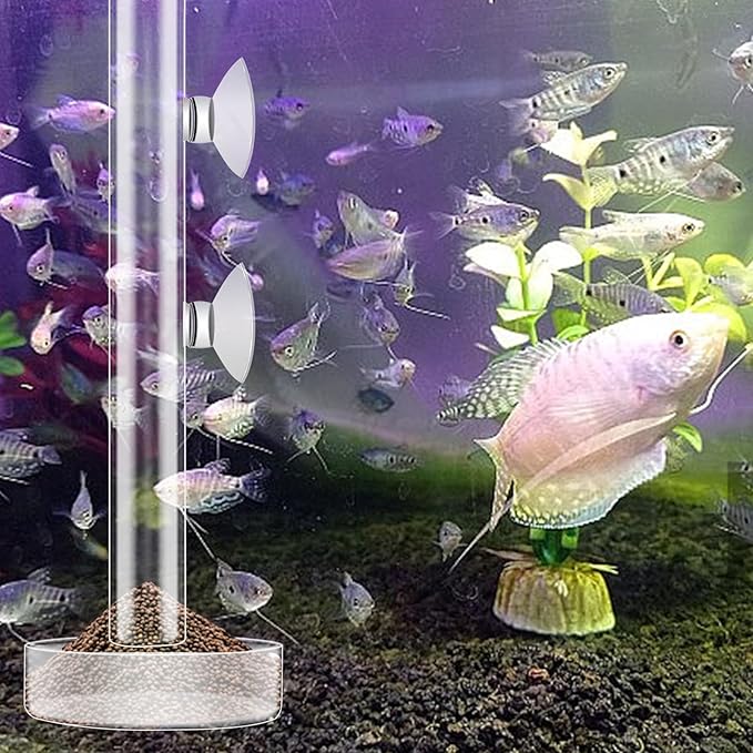 3 Pcs Shrimp Feeding Tube and Dish Set Clear Crystal Glass Shrimp Feeder Tube Tray Aquarium Feeder Tube Shrimp Feeding Dish Bowl Suction Cups for Fish Tank Aquarium Feeding Supplies Tools