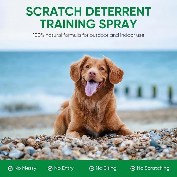 2 Pack Bitter Apple Spray for Dogs, No Chew Spray for Dogs, Natural Training Aid for Dogs & Puppies, Stop from Chewing and Biting on Furniture, Shoes, Plants, Indoor & Outdoor Use
