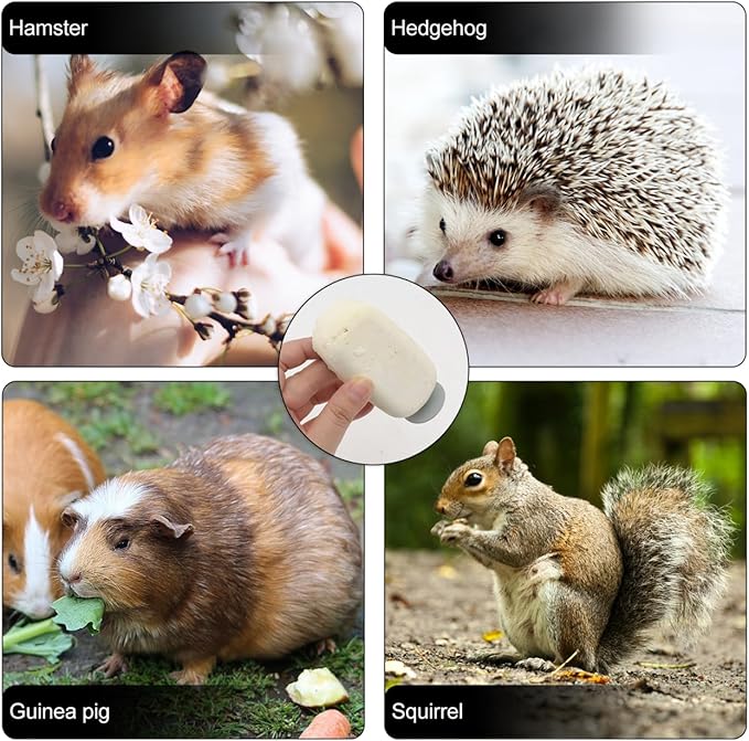 Toddmomy Hamster Cooling Stone Animal Calcium Grinding Stone Chew Toy for Hamster Squirrel and Other Pets for Health and Teeth Grinding