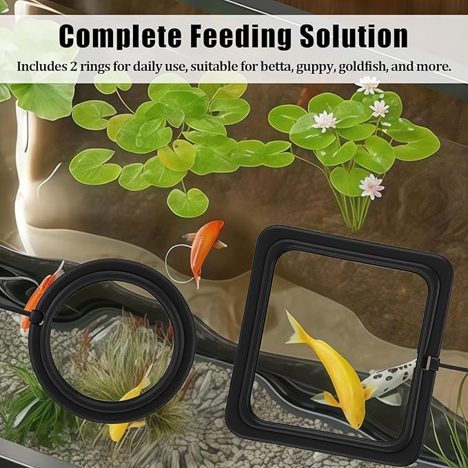 2PCS Small Fish Feeding Ring, Square and Round Mini Aquarium Feeder with Strong Suction Cup Floating Fish Feeder Ring for Betta Goldfish Guppy (Black)
