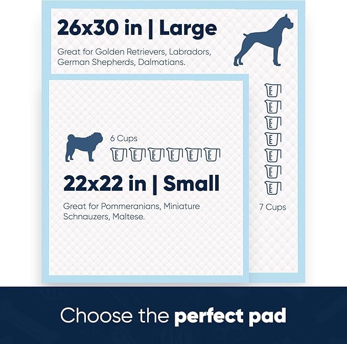 American Kennel Club Scented Puppy Pads –Large Size – 30x26 Ultra Absorbent 6-Layer Pee Pads with Odor Control & Quick-Dry Gel – Fresh Scent – 50 Count (Fresh Scented, 26x30) (Pack of 2)