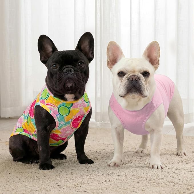 KYEESE 2Pack Dog Shirt, Lightweight Sun Protection Dog T Shirts for Small Dogs Girl, Breathable Mesh Tank Top Sleeveless Puppy Reflective Vest, Soft Summer Dogs Clothes, Lemon+Pink, S