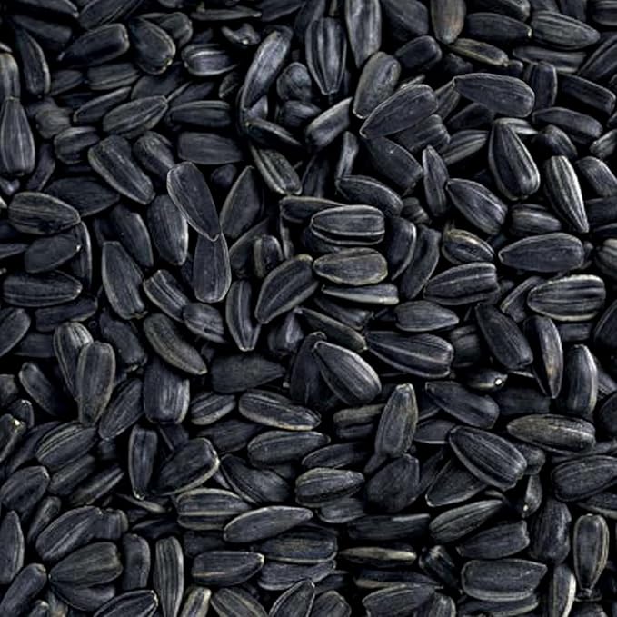 Happy Wings Nyjer Seed & Sunflower Seeds Wild Bird Food Combo - 5 Pound Pack I No Grow Seed I Bird Food for Wild Birds