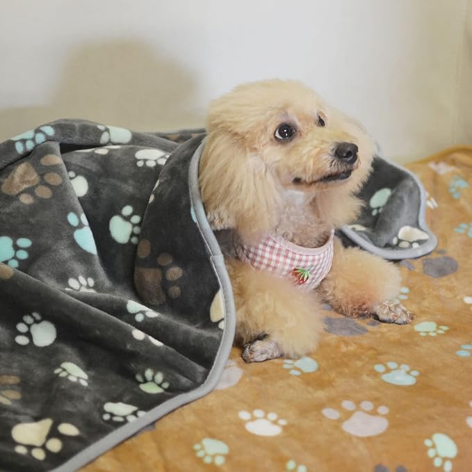 1 Pack 3 Puppy Blankets Super Soft Warm Sleep Mat Cute PAW Print Blanket Fleece Pet Blanket Flannel Throw Dog Blankets for Small Dogs Puppy Cats,Gray/White/Brown-Small(23"x15")