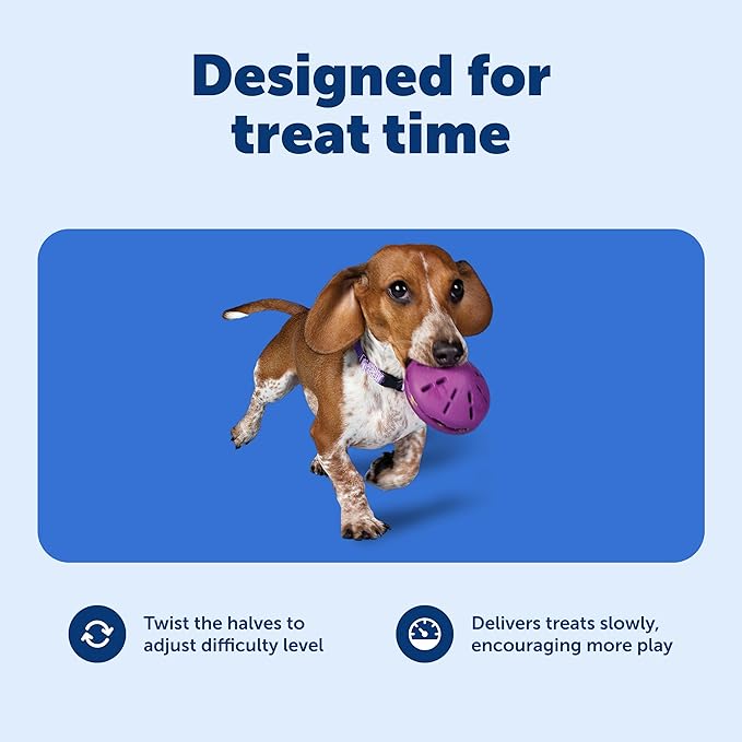 PetSafe Busy Buddy Twist 'n Treat Dispensing Dog Toy - Small