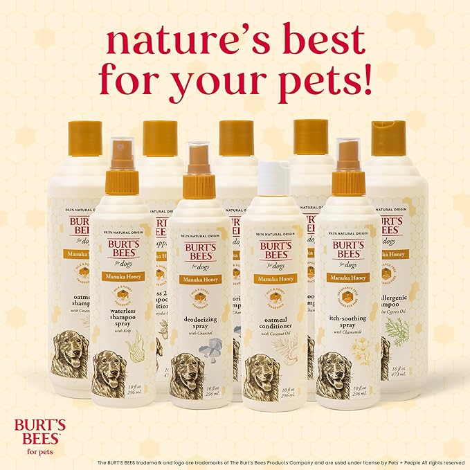 BURT'S BEES FOR PETS Deodorizing Spray for Dogs, Manuka Honey & Charcoal, Reduces Odor Between Baths, 95%+ Natural Origin, No Artificial Fragrance, Sulfates or Colorants, Milk & Honey Scent, 10 Fl Oz