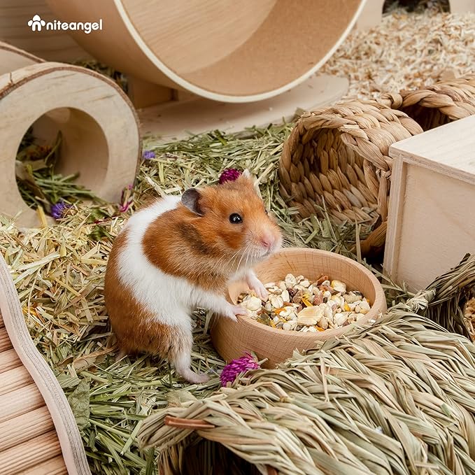 Niteangel Wooden Hamster Feeding Bowl - Small Animal Food Dish for Dwarf Syrian Hamsters Gerbils Mice Degus or Other Similar-Sized Small Pets (Hammy Pattern, for Syrian)