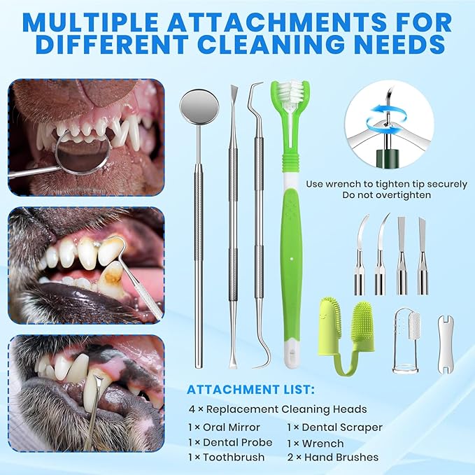 Dog Plaque Remover for Teeth,Pet Ultrasonic Tooth Cleaner with LED Light,Cleaning Kit for Tartar and Stains,5 Adjustable Modes,Pet Teeth Cleaning kit,Suitable for Dogs and Cats (Green)