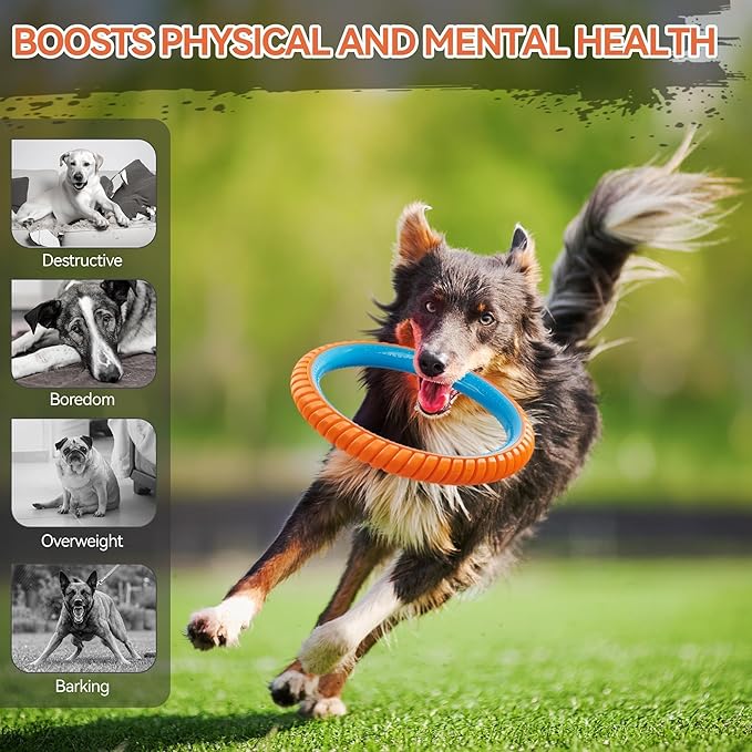 ALL FOR PAWS 10.8" Dog Ring Toy, Interactive Dog Toy for Fetch & Tug of War, Rubber Dog Toy for Medium to Large Dogs, Outdoor Dog Toy for Training & Exercise, Anxiety Relief & Boredom