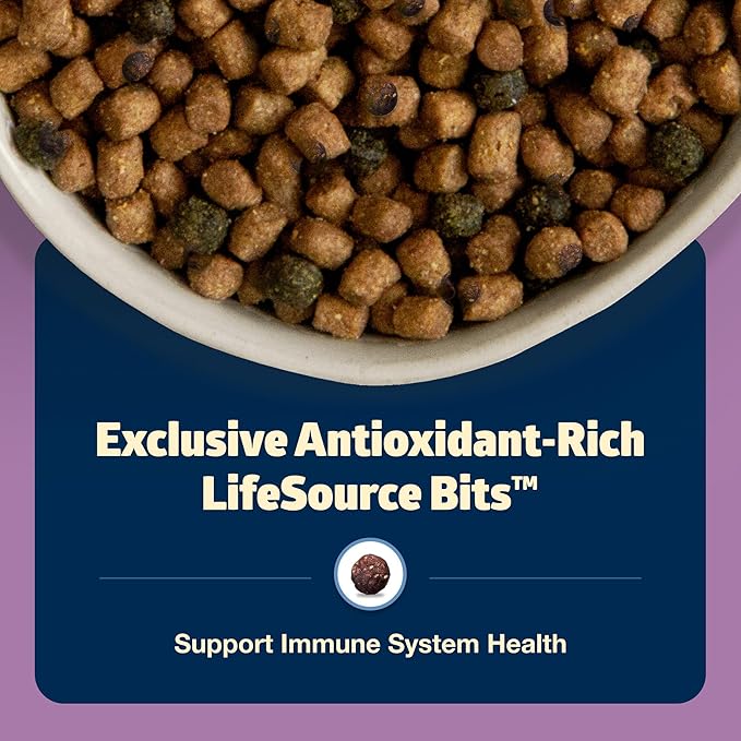 Blue Buffalo Freedom Grain-Free Adult Dry Cat Food, Complete & Balanced Nutrition for Indoor Cats, Made with Natural Ingredients, Chicken Recipe, 11-lb. Bag