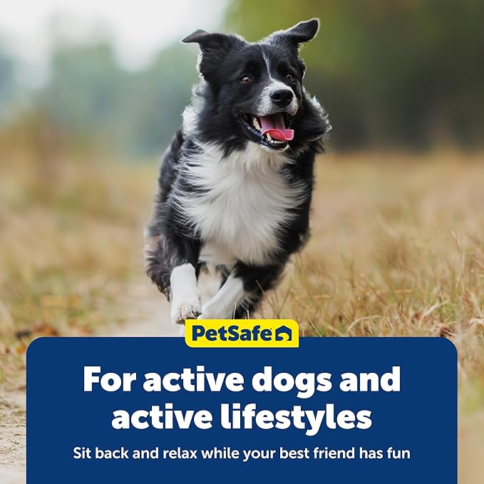 PetSafe Busy Buddy Chuckle, Medium/Large