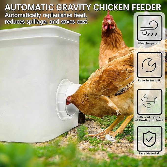 Chicken Feeder Port, 12 Pack Chicken Feeders No Waste with 12 Lids 1 Drill Bit, DIY Automatic Poultry Feeder Cups Kit, Chicken Bucket Feeder for Barrels (White)