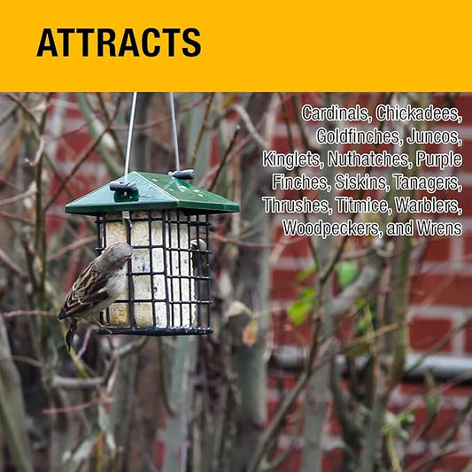 Heath Outdoor Products Berry Blast Suet Cakes Sample Pack,Contains Suet Cakes,Try It,Your Birds Will Love it,for Woodpeckers,Cardinals,Siskins,Sparrows,Finchs&Many More Wild Bird Species,(Pack of 6)