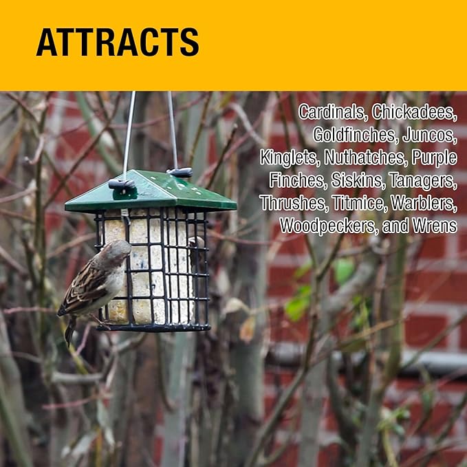 Heath Outdoor Products Berry Blast Suet Cakes Sample Pack, Contains 3 Suet Cakes, Try It, Your Birds Will Love it, for Woodpeckers, Cardinals, Siskins, Sparrows, Finchs & Many More Wild Bird Species