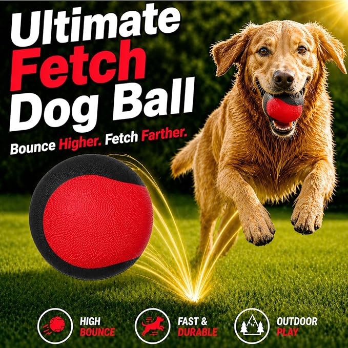 Squeaky Dog Ball for Fetch – Floating Rubber Ball for Water Play, Easy to Spot, Keeps Dogs Engaged, Durable for Pool, Lake & Outdoor Use, 2.7 Inch for Small & Medium Dogs