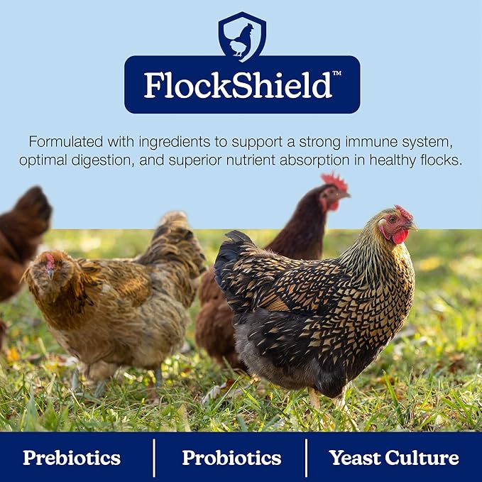 Nutrena Harvest Blend 18% Textured Chicken Feed