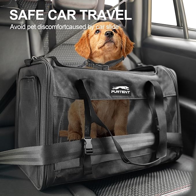 Soft Sided Cat Carrier for Large Cats, Pet Carrier for 2 Cats or Small Dogs Up to 25Lbs, Large Cat Carrier with Shoulder Strap, Cat Car Carrier with Safety Buckle & Cushion, 20x13x13 inches, Black