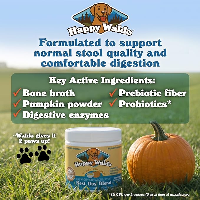 Bone Broth Dog Food Topper – Firm Stool Support, Digestion & Gut Health, Picky Eater Friendly with Pumpkin, Probiotics & Digestive Enzymes