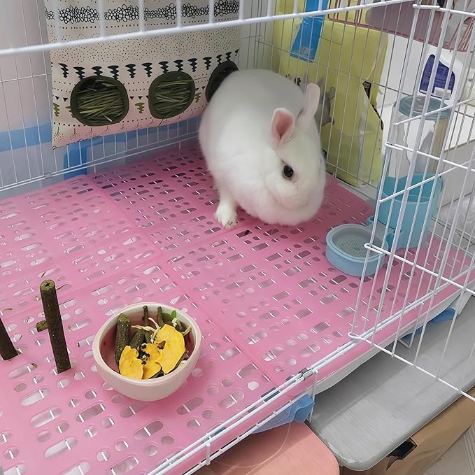 Hamiledyi 10Pieces Rabbit Feet Pad Hole Leak Water Design for Plastic Bunny Cage Mat Foot Resting Pad