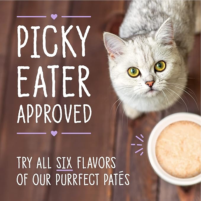 Stella & Chewy's Carnivore Cravings Purrfect Paté - Premium Grain-Free Wet Cat Food - Tuna & Pumpkin Recipe - High Protein with Bone Broth - Perfect for Picky Eaters - 5.2oz Cans (24 Pack)
