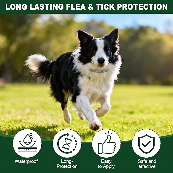 4 Pack Essential Oil Collars Dog Flea & Tick Collar Set with Natural Essential Oils, Adjustable Flea Control for Dogs