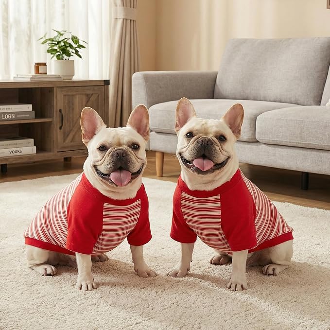 Pistha Dog Tshirt Striped Shirts for Dogs Clothes Stretchy Puppy T-Shirts with Metal Buckle for Small Medium Dog Boys Girls (Red, X-Large)