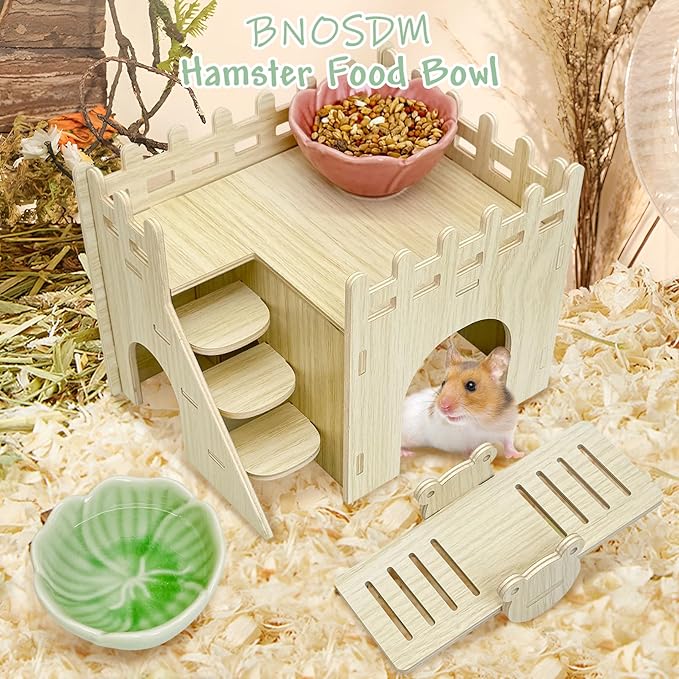 BNOSDM 2 Pcs Hamster Ceramic Food Bowl Flower Series Gerbil Drinking Bowls Anti-Turning Food & Water Dish for Dwarf Syrian Hamsters Gerbil Chinchilla（Green, Rose Pattern）