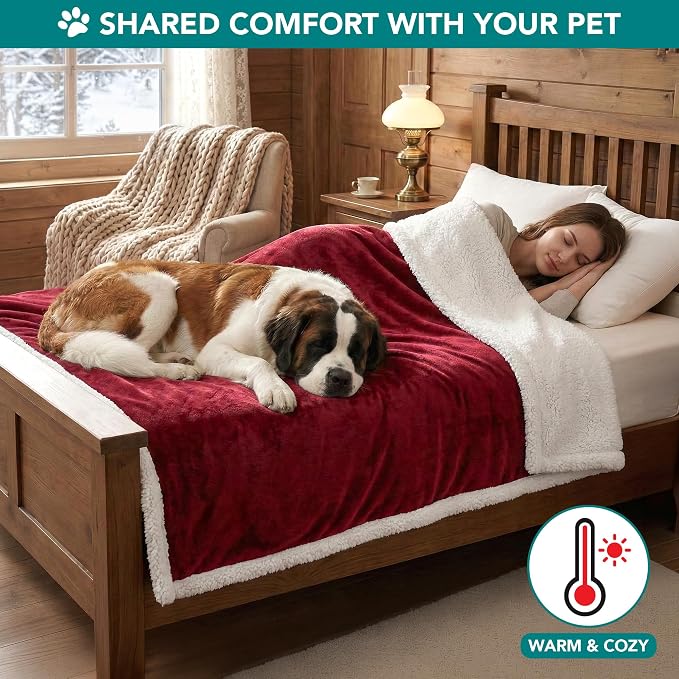 PetAmi Dog Blanket for Small Medium Dogs and Cats, Soft Sherpa Fleece Pet Blanket Throw for Puppies Kittens, Reversible Plush Couch Cover Protector Sofa Bed Crate, Machine Washable, 60x40, Dark Red