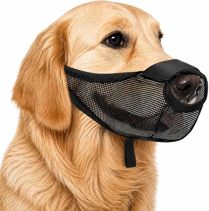Dog Muzzle with Front Opening for Training and Treats, Breathable Air Mesh Muzzle for Biting Chewing Scavenging, Soft Lightweight Adjustable Mouth Guard for Small Medium Large Dogs (Black,XL)